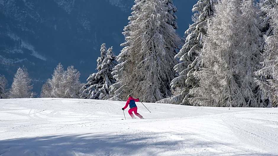 Sattleggers Alpenhof & Feriensternwarte