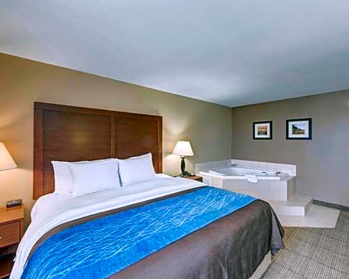 Comfort Inn & Suites Plano East