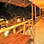 Lazy Dog Bed & Breakfast