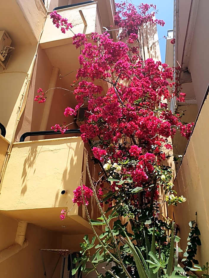 Drosia Hotel