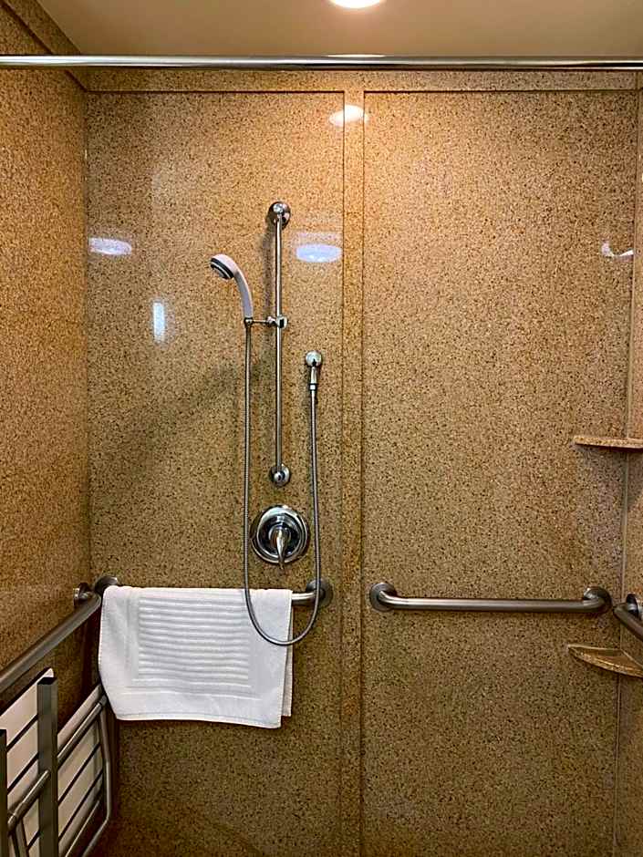 Comfort Suites Rock Hill Manchester Meadows Area