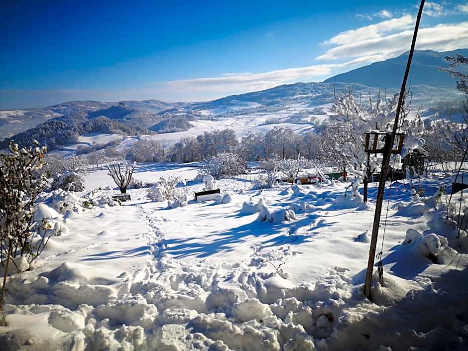 ALBERGO BALDAZZI 1916