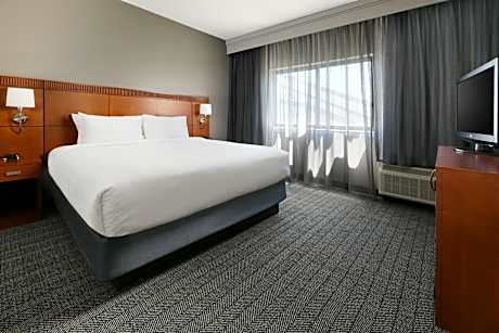 Suite, 1 King Bed