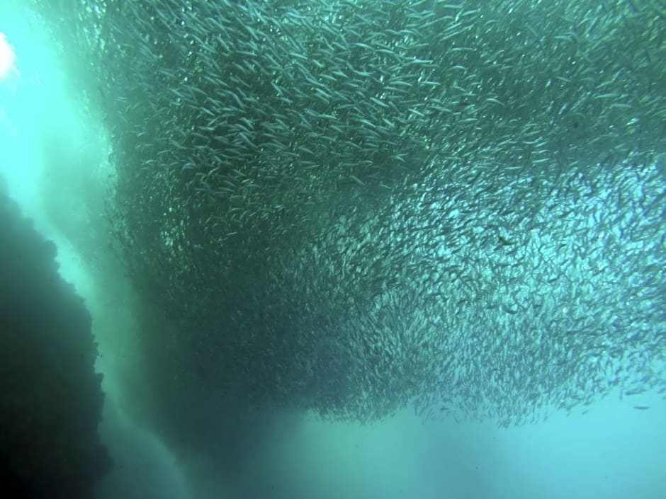 West Coast Beach House