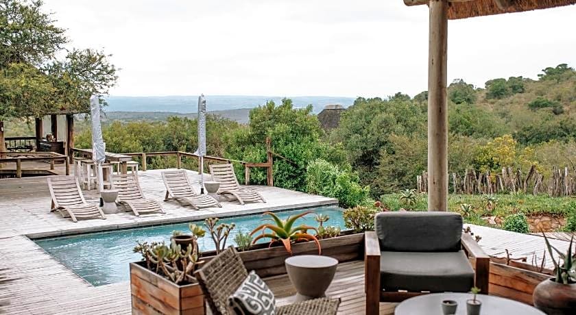 Bukela Game Lodge - Amakhala Game Reserve