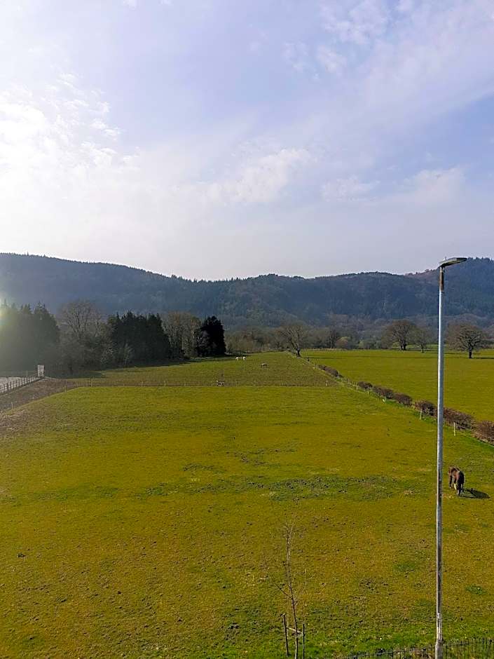 The Meadowsweet Hotel