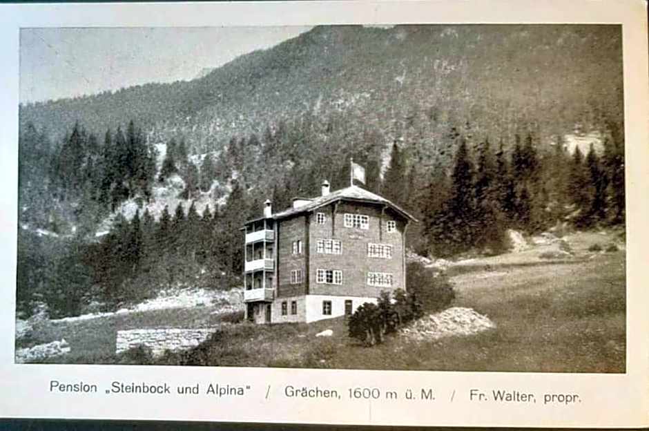 Hotel Alpina
