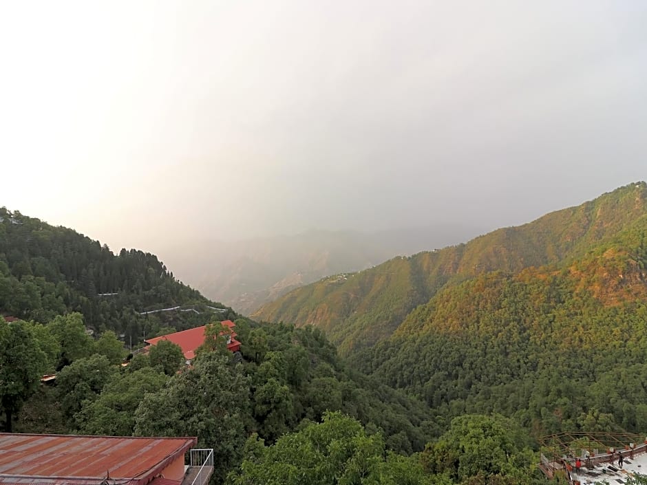 14678 Hotel Filigree