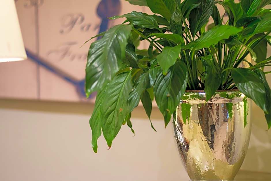 Villa Bucher - Metnitztalerhof