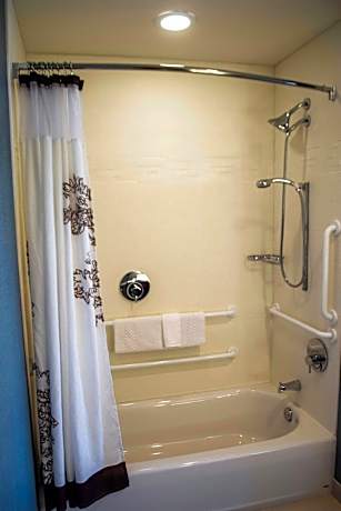 Suite, 1 Bedroom (Hearing Accessible) (1 King Bed and 1 Double Sofa Bed)