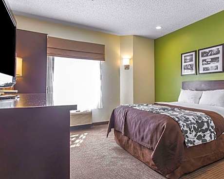1 King Bed Suite Nonsmoking