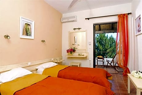 Double or Twin Standard