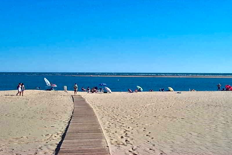 Leo San Bruno I - II