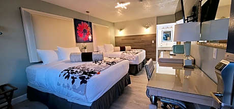 Single Room - Disability Access