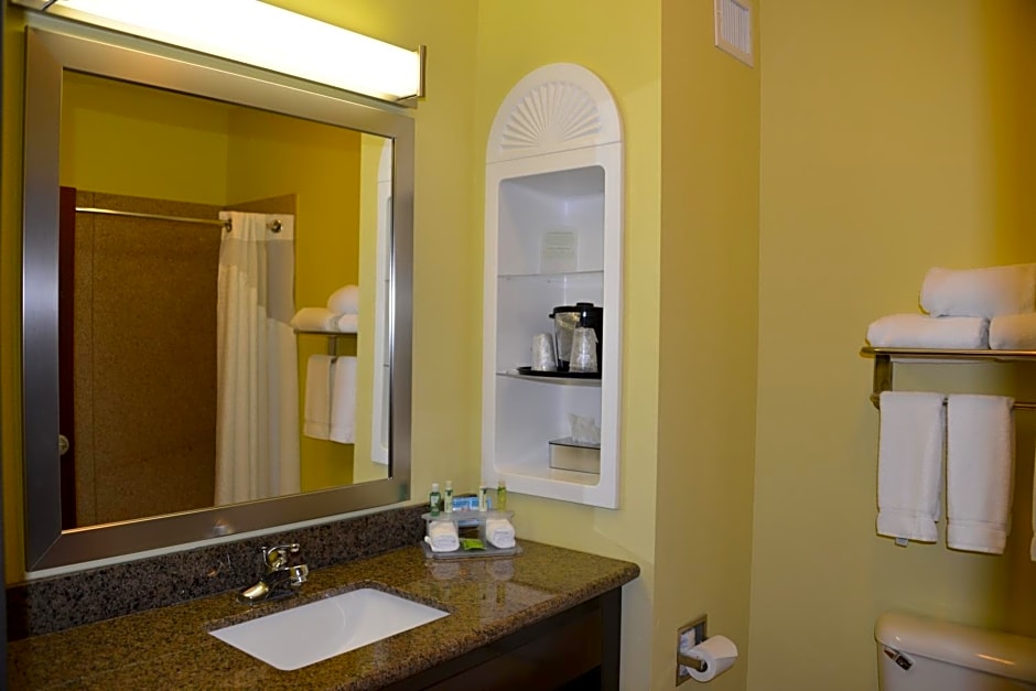 Holiday Inn Express Hotel & Suites Dumas By IHG
