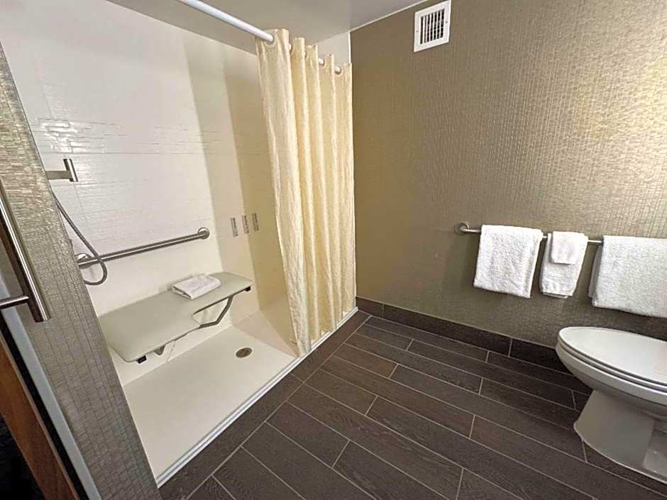 Skyline Hotel Detroit Airport, SureStay Collection by Best Western