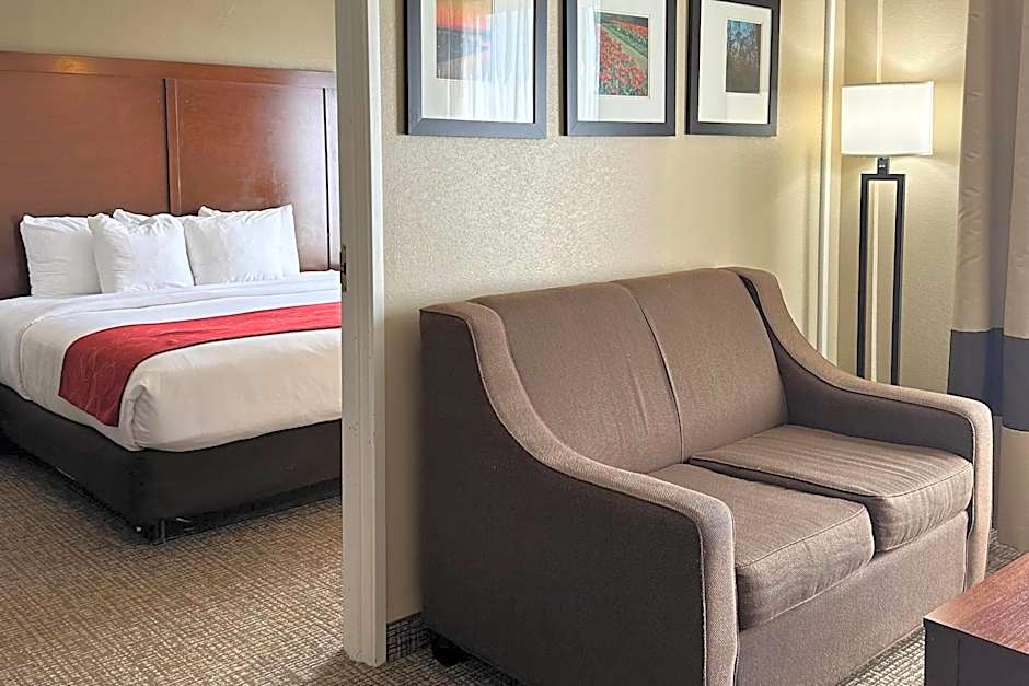 Charlotte Suites by IHG