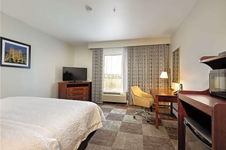 Non-Smoking King Room