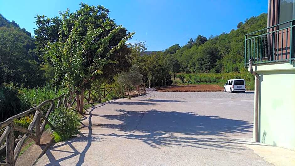 Palia's Hotel