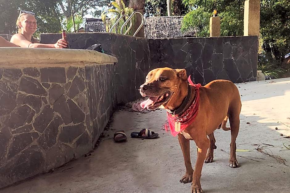 Jungle Fever Koh Chang