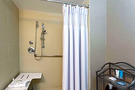 Mobility Accessible Deluxe Queen Roll-In Shower