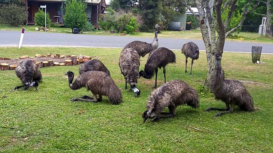 YHA Grampians Eco, Halls Gap
