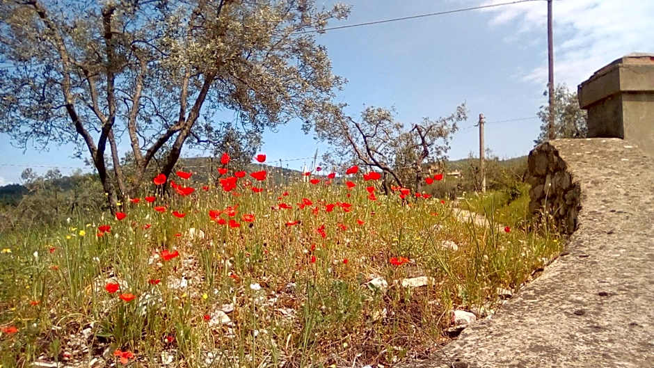 Ostello del Bigallo