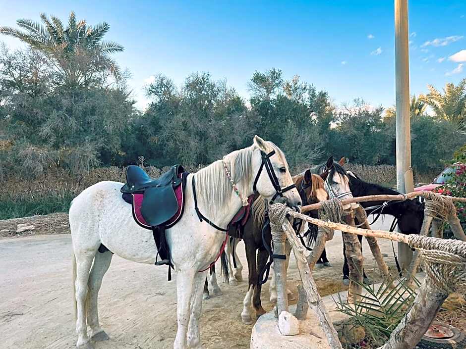 Aghurmi Siwa Ecolodge & Salt Cave