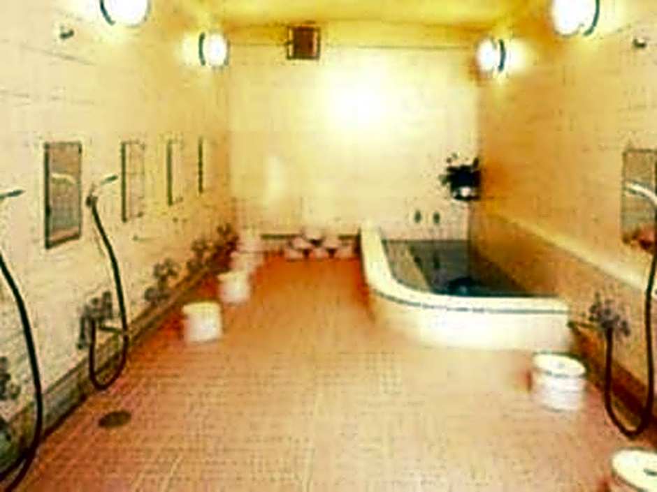 Ryokan Nihonkan Hotel