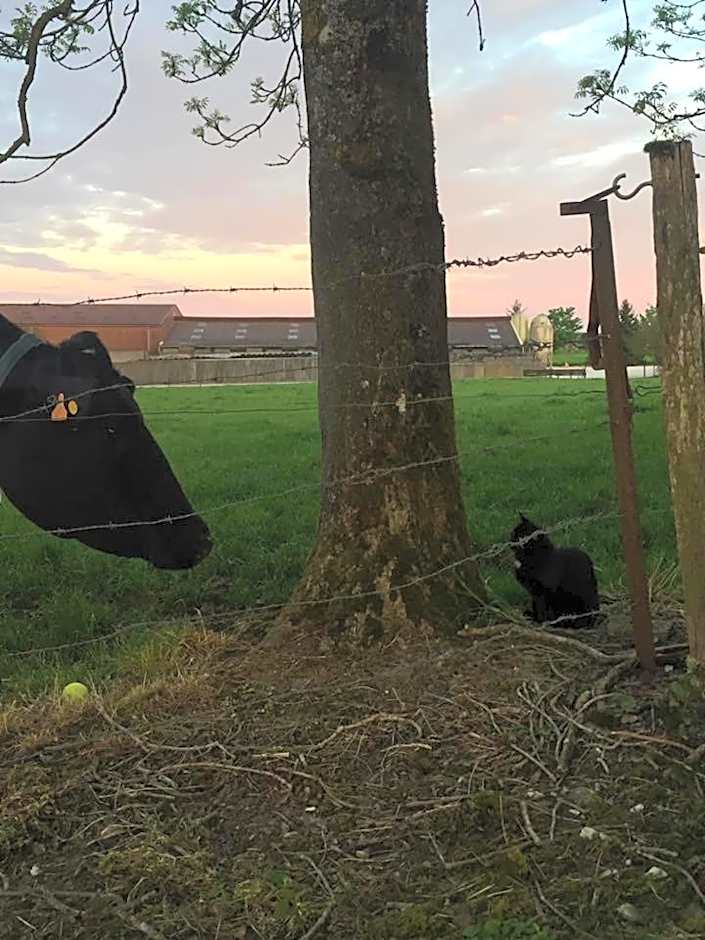 Logis Hotel La Grange Du Relais