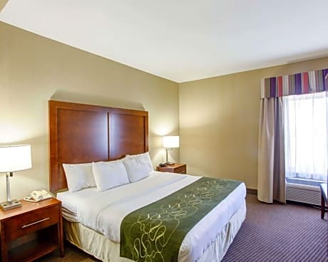 1 King Bed, Suite, Nonsmoking, Accessible