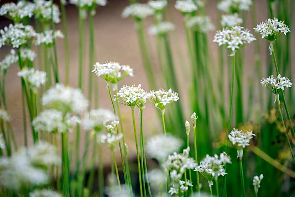 Best Western Hotel Hillerød