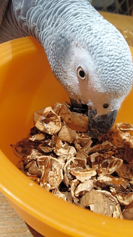 Kerstunt Chambre d'hôtes Relais Motards