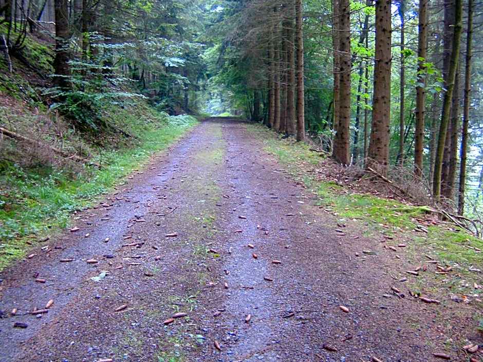 B&B Le Petit Normand