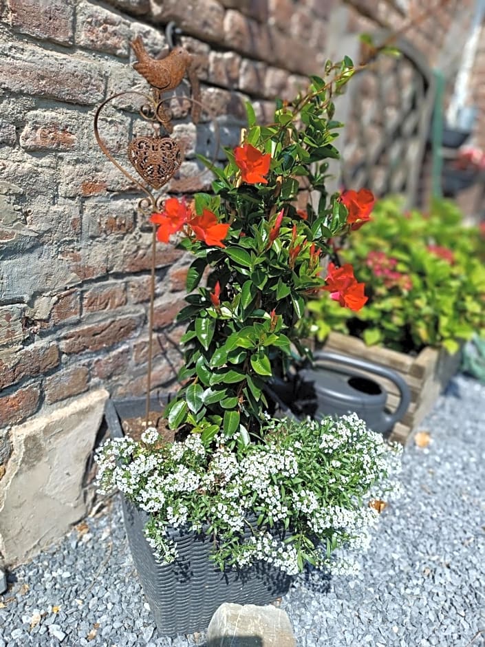 B&B Ferme du Petit Breuil