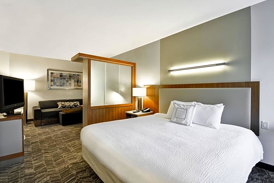 SpringHill Suites Tallahassee Central