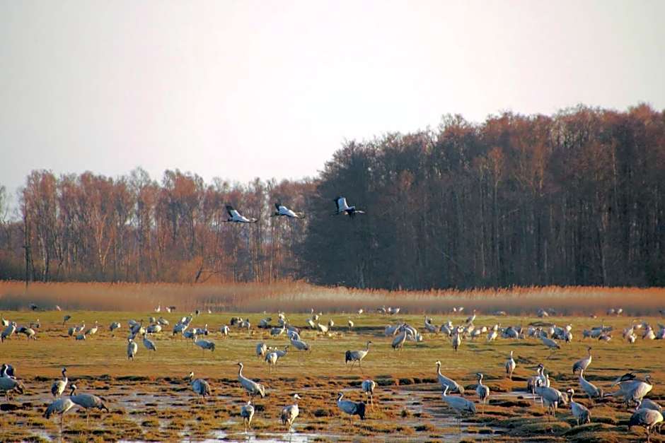 Kuskahusen vandrarhem