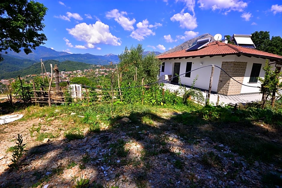 Affittacamere Convivio