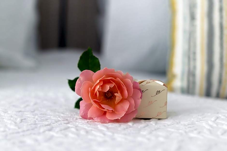 Treghan Luxury Lodge