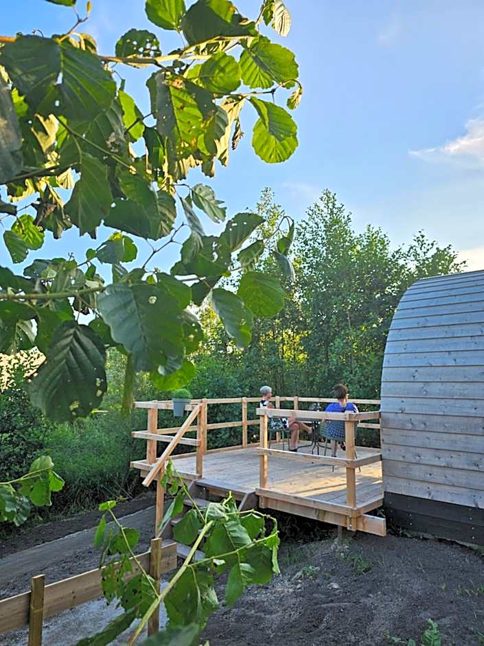 Tiny House De Skierroek