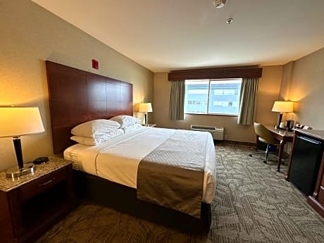 King Room - Pet Friendly/Non-Smoking