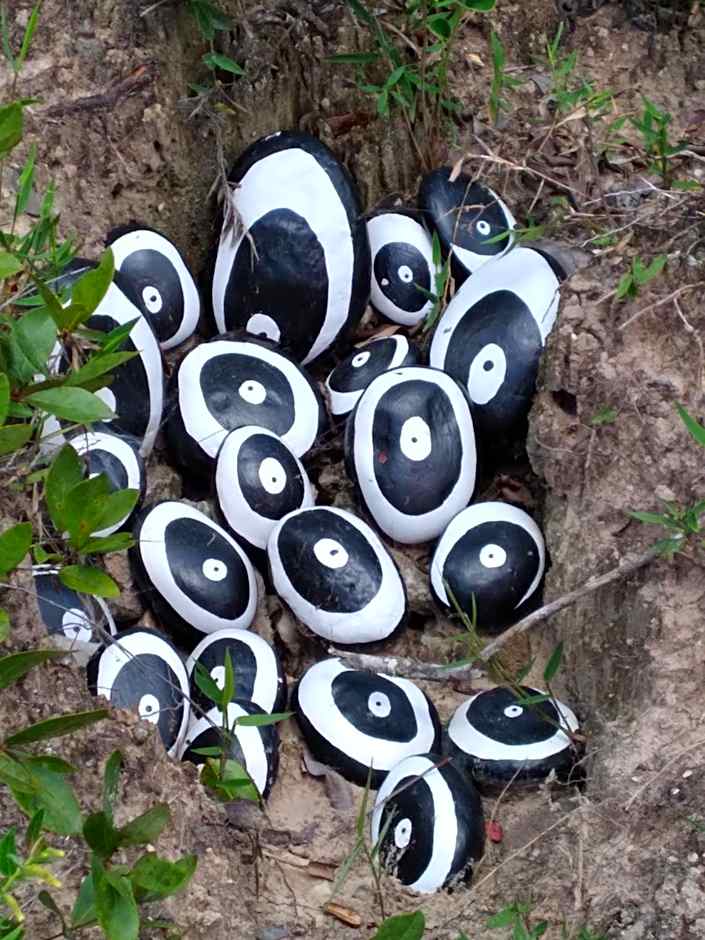 Pousada Do Pequi
