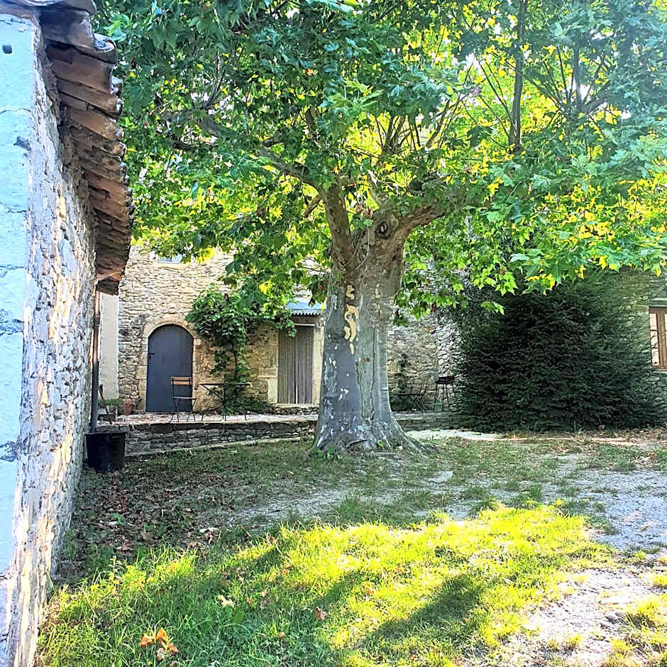 La Cour du Marronnier