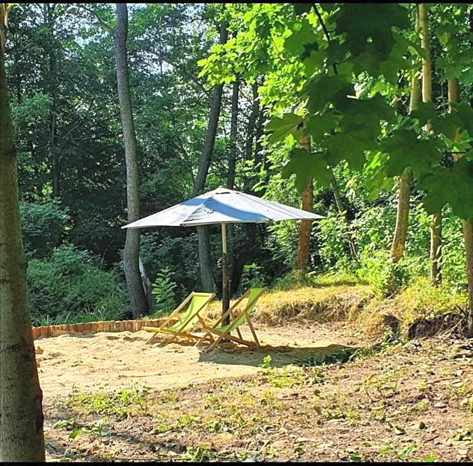 Gospodarstwo Agroturystyczne Borówkowy Bukiet Smaków