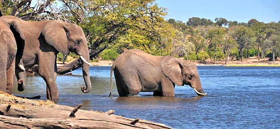 Thebe River Safaris