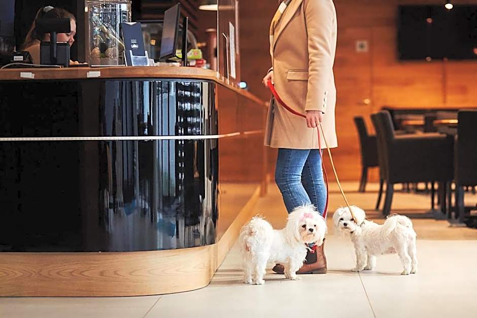 Molo Park Aparthotel