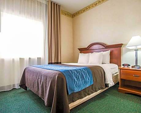 Queen Suite with Sofa Bed - Non-Smoking