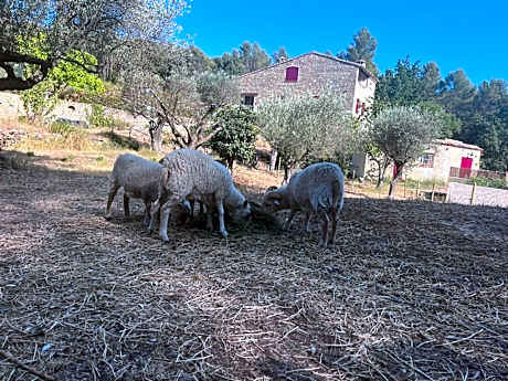 Queen Room with Spa Bath