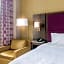 Hampton Inn By Hilton Majestic Chicago