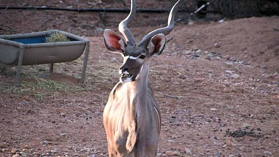Zwartberg View Mountain Lodge